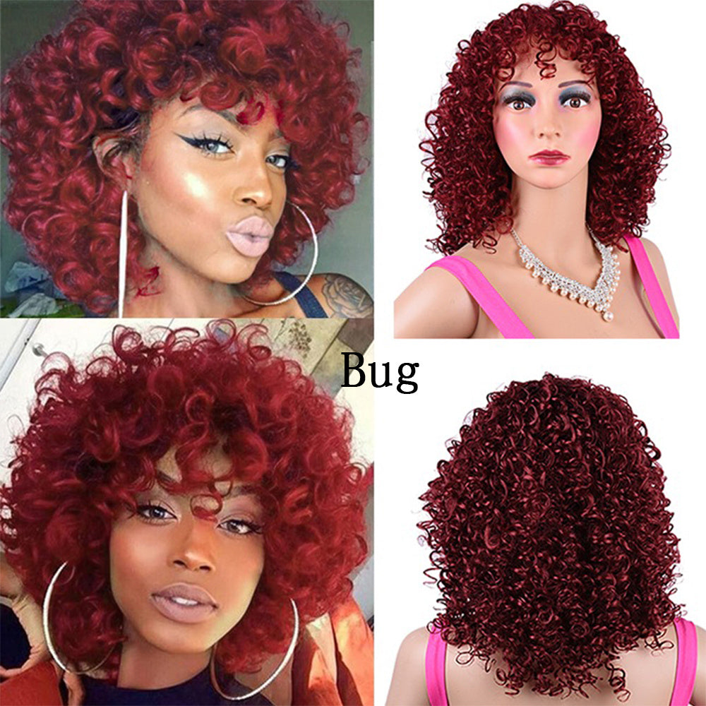 Synthetic Afro Curly Wig African Wigs For Black Women - 24 Timmar Deals