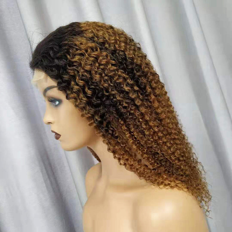 Human Hair Wigs Kinky Curly - 24 Timmar Deals