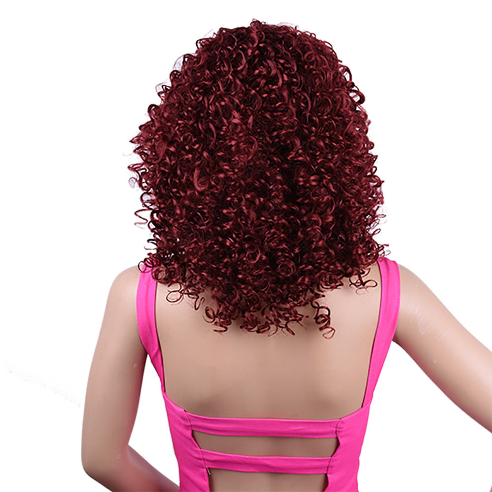 Synthetic Afro Curly Wig African Wigs For Black Women - 24 Timmar Deals