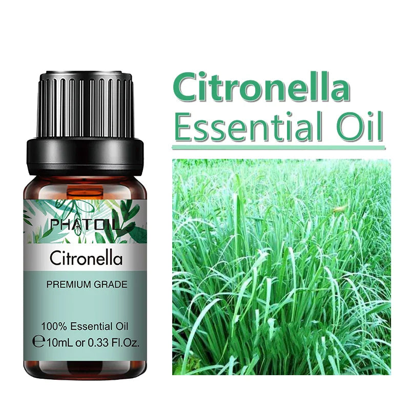 10 ml eterisk olja - 24 Timmar Deals
