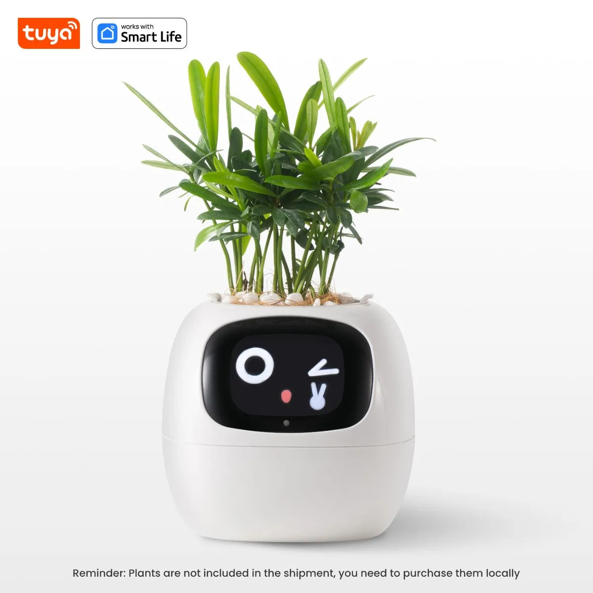 Tuya Ivy Smart Planter, Oändligt roligt över 49 rika uttryck, 7 smarta sensorer, AI-chips gör att odla växter enkelt och roligt - 24 Timmar Deals