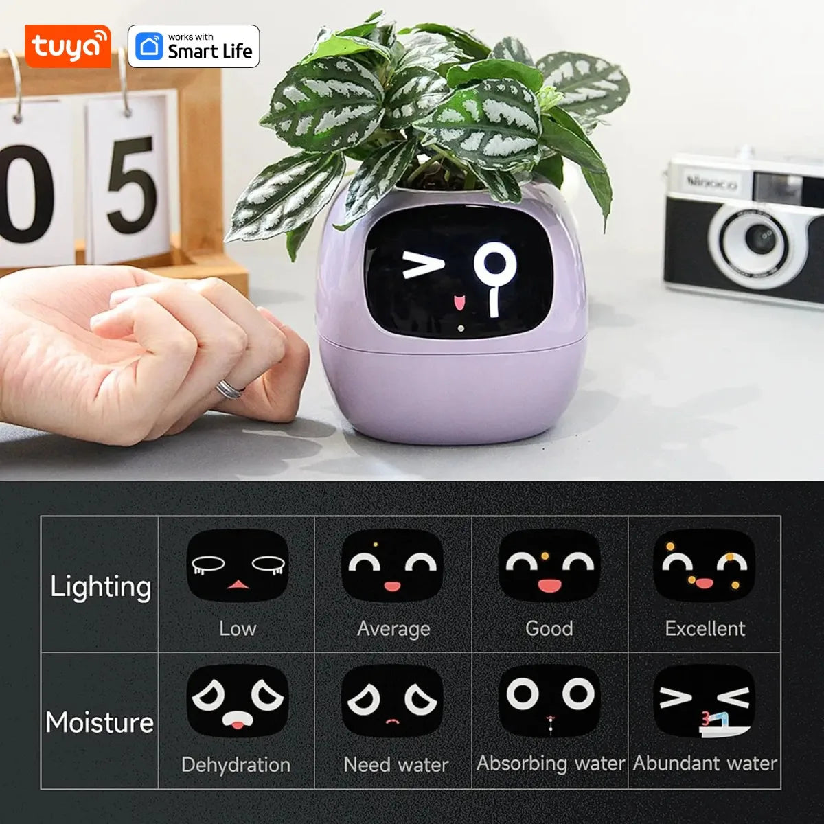 Tuya Ivy Smart Planter, Oändligt roligt över 49 rika uttryck, 7 smarta sensorer, AI-chips gör att odla växter enkelt och roligt - 24 Timmar Deals