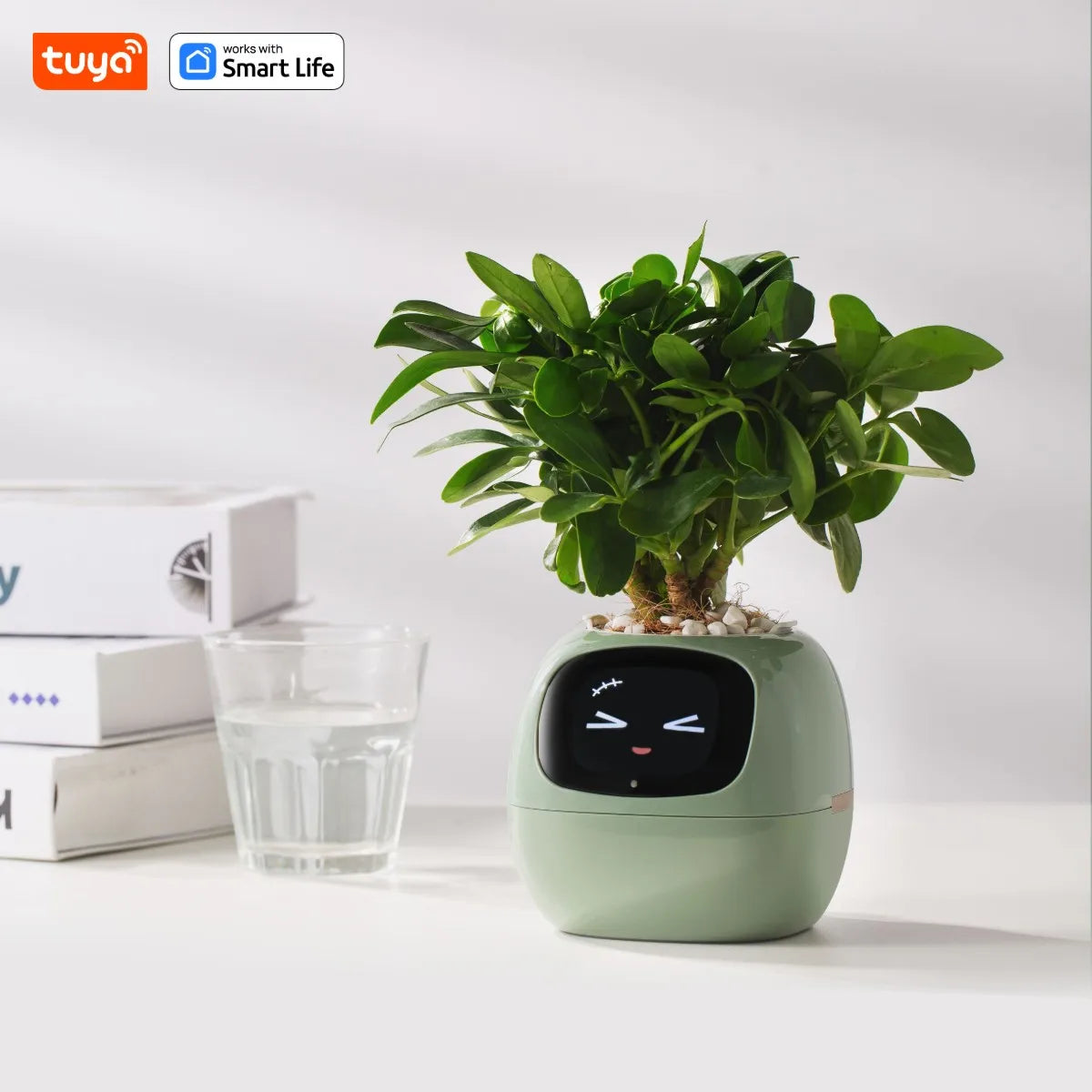 Tuya Ivy Smart Planter, Oändligt roligt över 49 rika uttryck, 7 smarta sensorer, AI-chips gör att odla växter enkelt och roligt - 24 Timmar Deals
