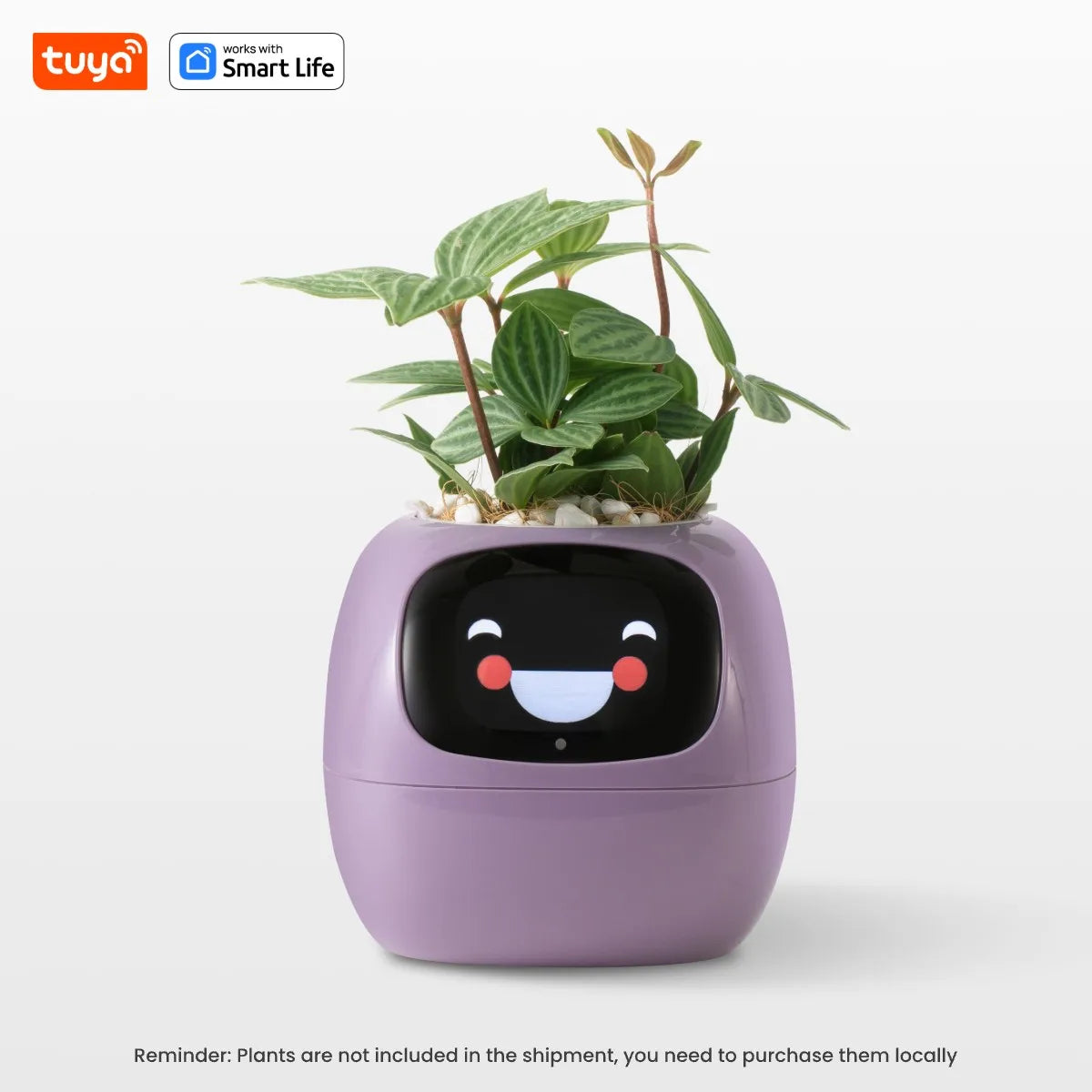 Tuya Ivy Smart Planter, Oändligt roligt över 49 rika uttryck, 7 smarta sensorer, AI-chips gör att odla växter enkelt och roligt - 24 Timmar Deals