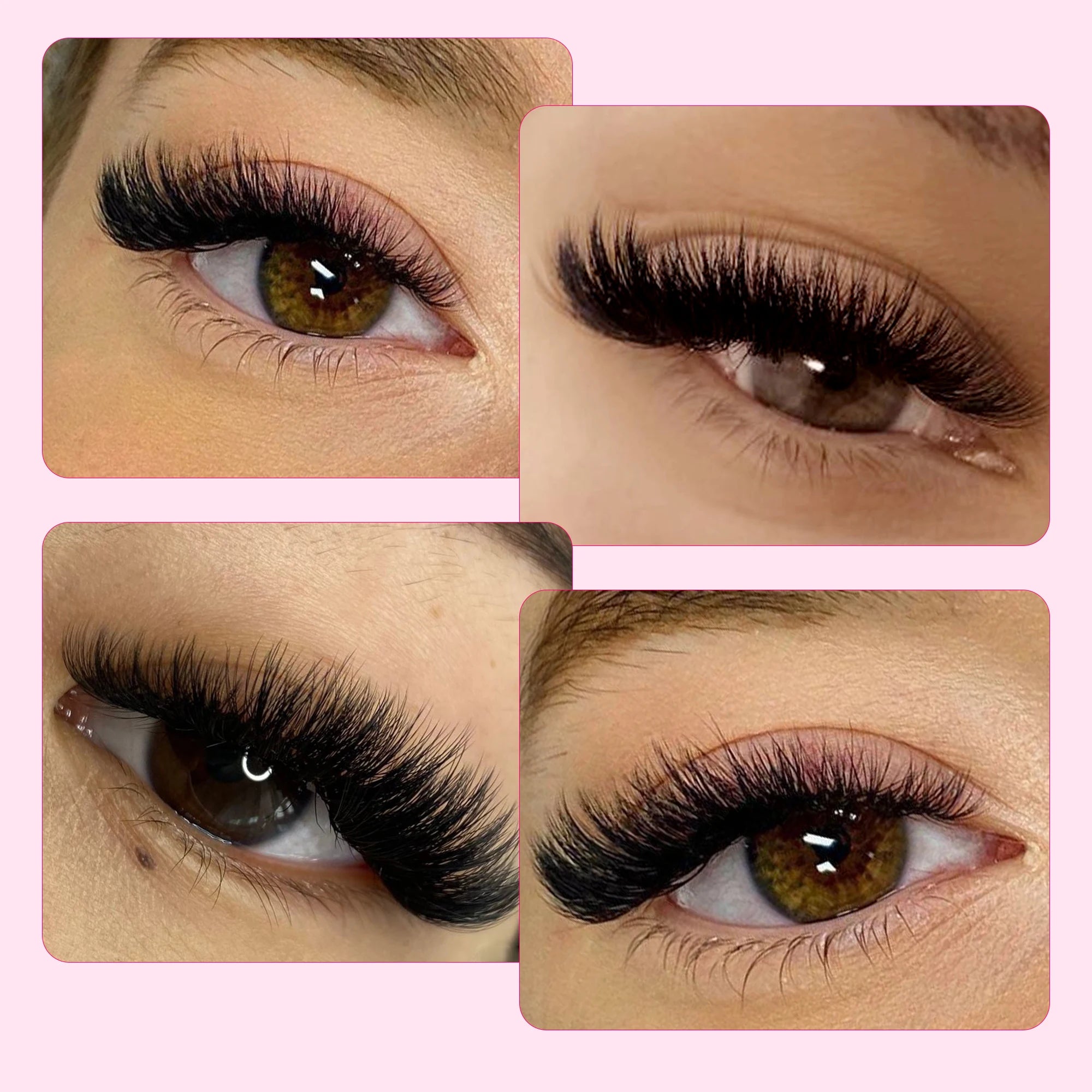 600 Fans Pre made Volume Fan C/D Curl 8-15MM - 24 Timmar Deals