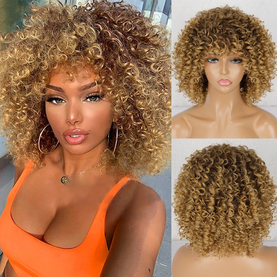 Synthetic Afro Curly Wig African Wigs For Black Women - 24 Timmar Deals