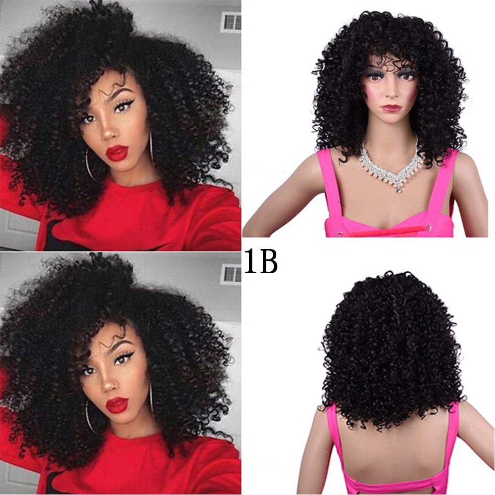 Synthetic Afro Curly Wig African Wigs For Black Women - 24 Timmar Deals